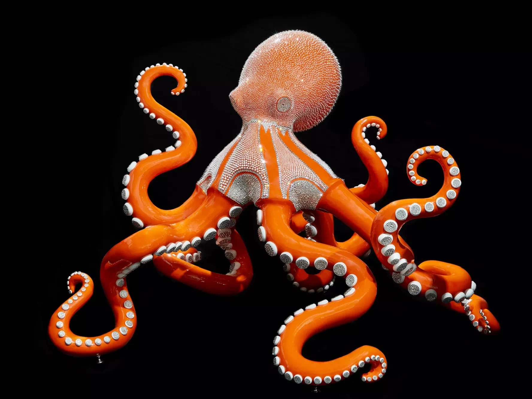 poulpe orange mythique eddy maniez